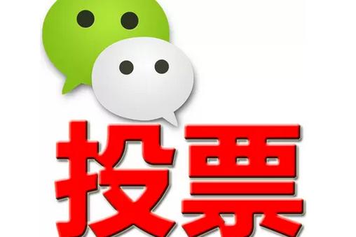 双鸭山市微信投票功能开发 上传图片投票